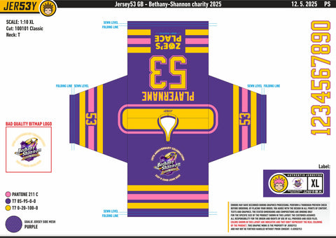 THE BETHANY SHANNON MEMORIAL ICE HOCKEY FESTIVAL