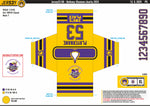 THE BETHANY SHANNON MEMORIAL ICE HOCKEY FESTIVAL