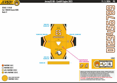 CARDIFF EAGLES FAN REPLICA - INFANT SIZING