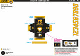 CARDIFF EAGLES FAN REPLICA - INFANT SIZING