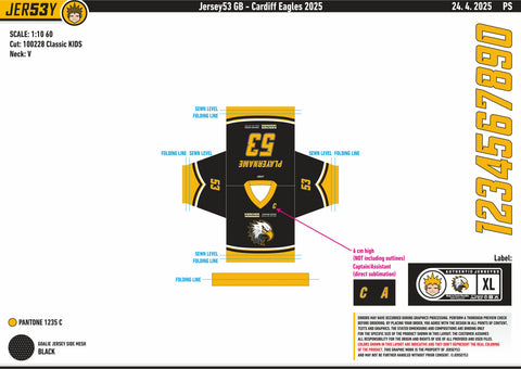 CARDIFF EAGLES FAN REPLICA - INFANT SIZING