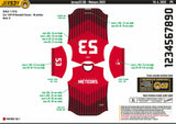 THE METEORS SOFTBALL CLASSIC BASEBALL CUT JERSEY