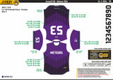 THE METEORS SOFTBALL CLASSIC BASEBALL CUT JERSEY