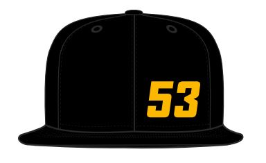 HEADWEAR - 53 FLAT PEAK SNAPBACK